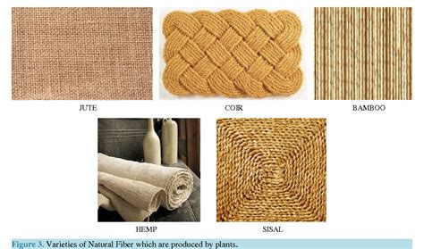  Joining-the-Dots: Journey into the World of Jute Fiber Composites!