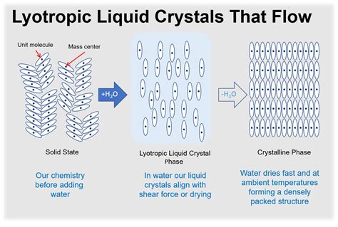 Liquid Crystal Polymers: A Marvel of Engineering for High-Performance Applications!