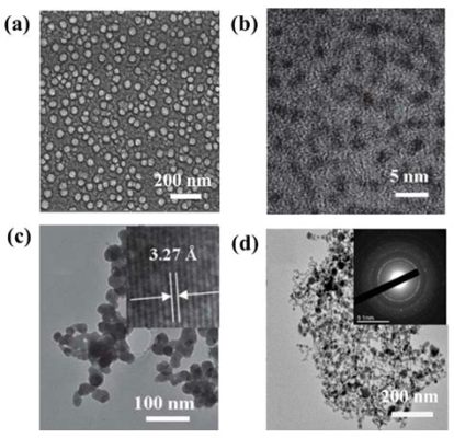 Tellurium Nanowires: Revolutionizing Electronics and Optoelectronics Applications!