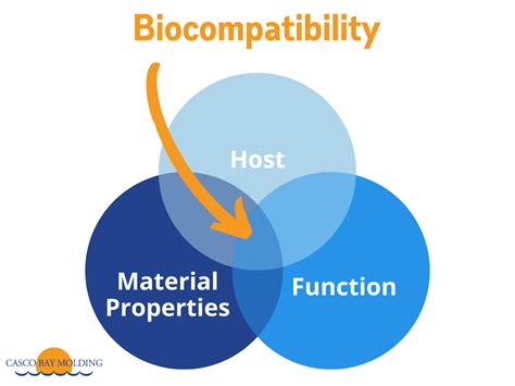  Ionomers! A Marvel of Material Science For Enhanced Durability and Biocompatibility